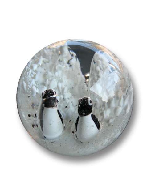 Droomkogel pinguins 