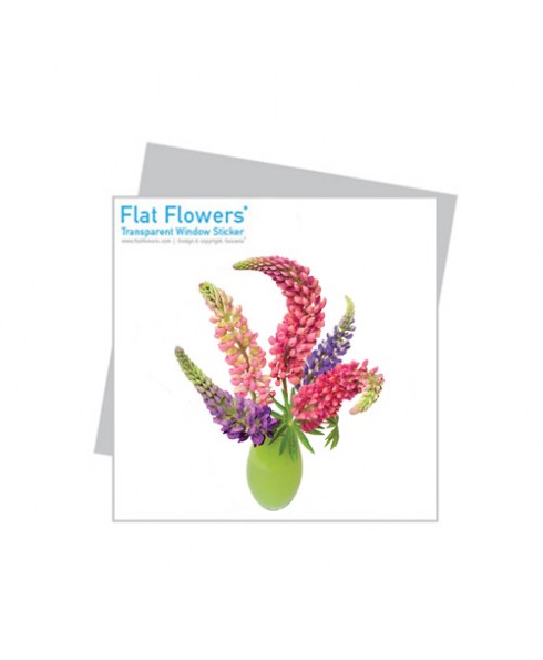 Flatflower 19