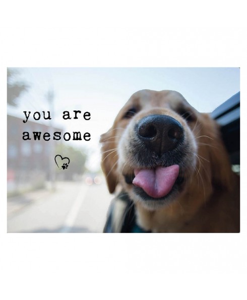 You are awesome postkaart