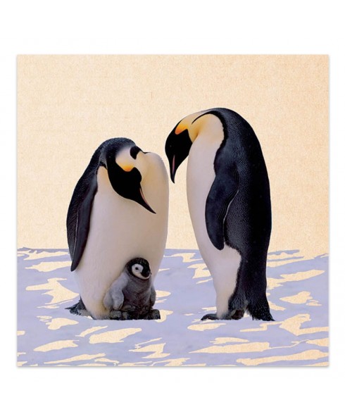 Wenskaart Familie pinguïn