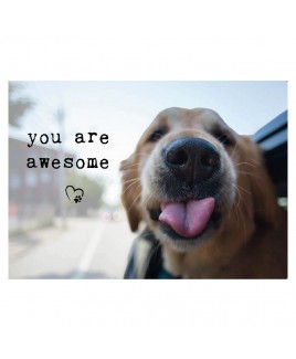 You are awesome postkaart